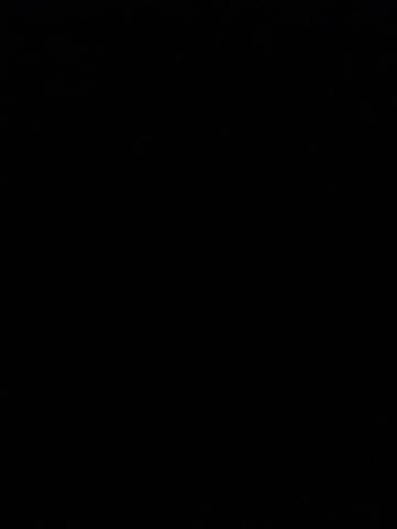 Мила Блестящая Звезда фото 2